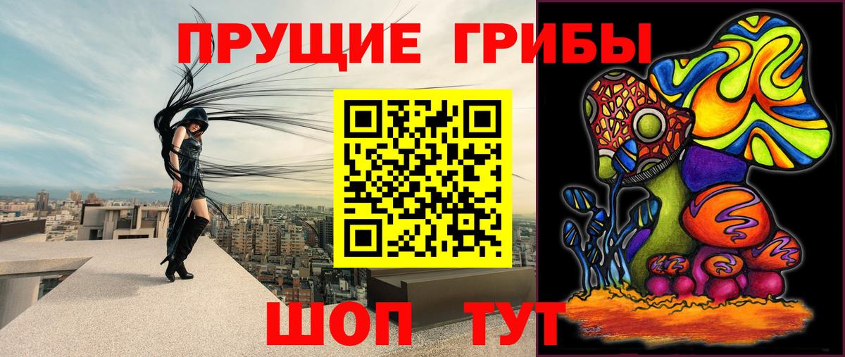 Галлюциногенные грибы MAGIC MUSHROOMS  Галлюциногенные грибы Psilocybe  Янаул  Вход с VPN 
